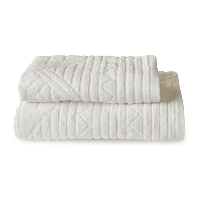 Coppia spugna Spartaco