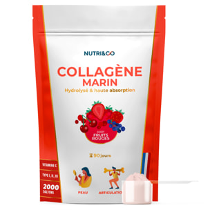 Collagène Marin Type 1, 2 & 3 Peau & Articulations Goût Fruits Rouges - 540g