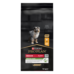 PRO PLAN Chien Medium Puppy Healthy Start  Poulet 12KG