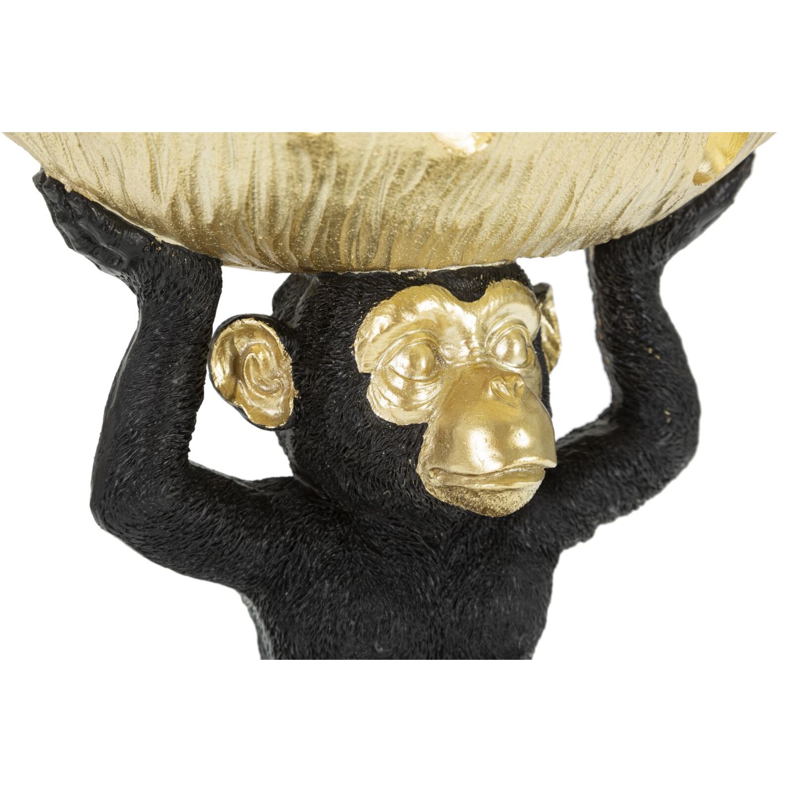 SCIMMIA S/TASCHE CM 25,2X21X24