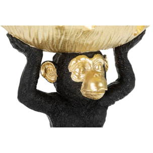 SCIMMIA S/TASCHE CM 25,2X21X24