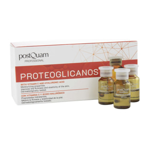 Protéoglycanes Vitamine C 10*2Ml