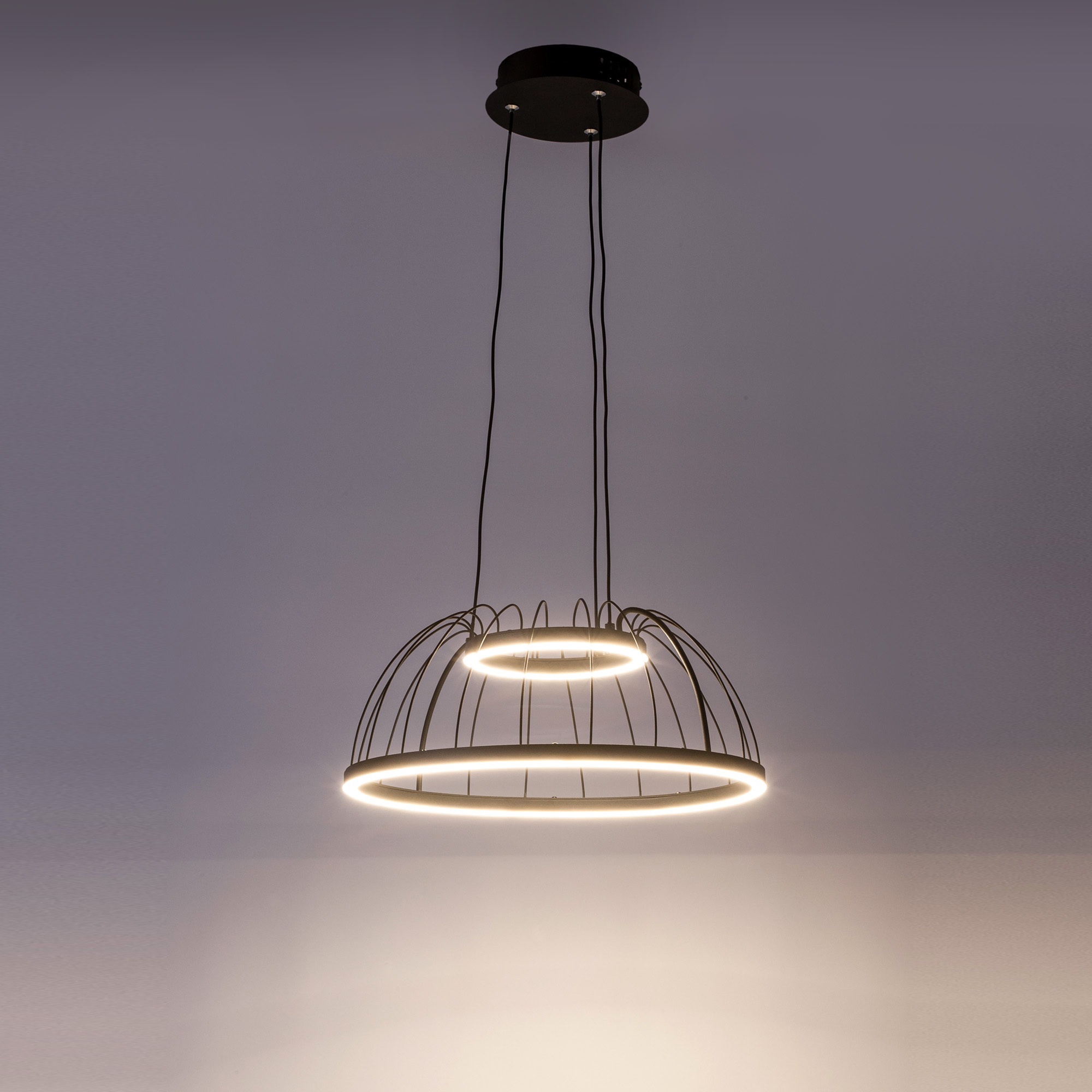 Forlight Colgante Cercle LED 24W Blanco Neutro - 4000K Negro para Interior de Techo en Comedor, Salón, Cocina