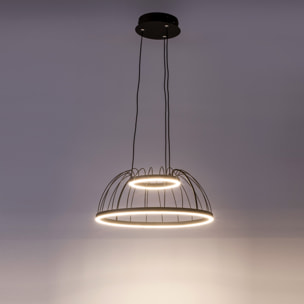 Forlight Colgante Cercle LED 24W Blanco Neutro - 4000K Negro para Interior de Techo en Comedor, Salón, Cocina
