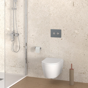 Inodoro suspendido | WC de ceramica | Blanco Mate |WC con Tapa amortiguada | Salida a pared | Sistema rimless | Alday