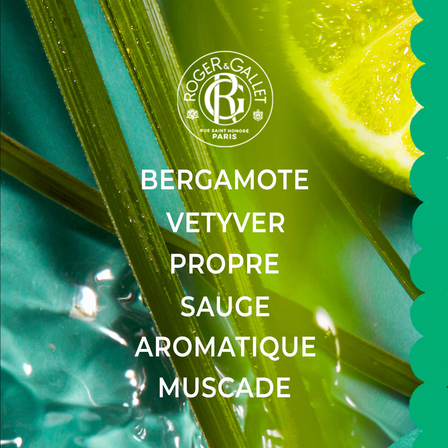 Vétyver - Eau Parfumée Bienfaisante 100ml