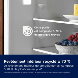 Réfrigérateur combiné encastrable ELECTROLUX KNT6ME18S4
