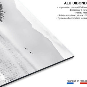 Tableau nature reflets d'eau Tableau alu Dibond