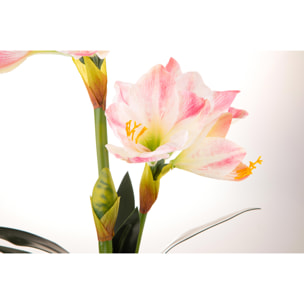 Amaryllis Con Vaso. Altezza 64 Cm - Pezzi 1 - 36X64X25cm - Colore: Rosa - Bianchi Dino - Piante Artificiali