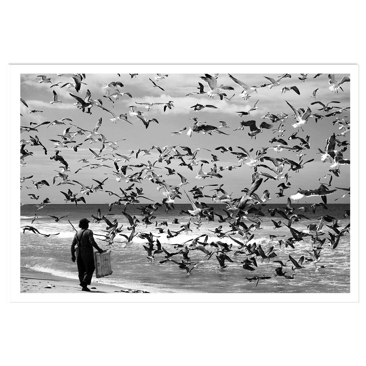 Poster festin de mouettes Affiche seule