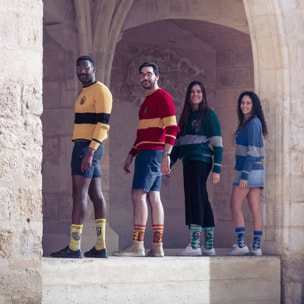 Calcetines harry potter diseño hufflepuff