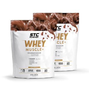 STC NUTRITION - Whey Muscle+ - Protéines Natives - Développement Muscle Sec - Innovation Brevetée Aminolise 100% Digeste - Sans Colorants, Sans Gluten - Chocolat -  Lot de 2 Doypack 750g
