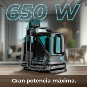 Cecotec Aspirador de Tapicerías Conga 5000 Carpet&Spot Clean XXL 650 W Dos Depós