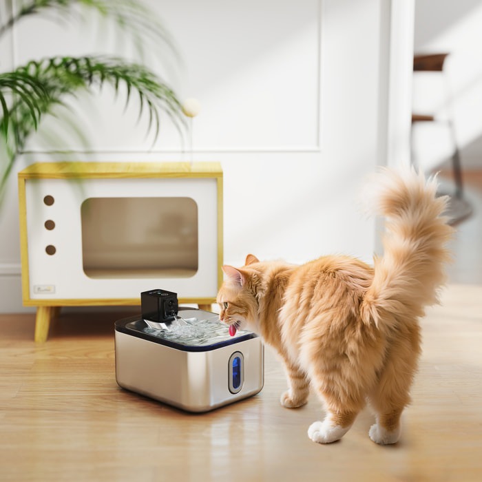 Fontaine à eau pour chat 5L filtration 3 étapes charge USB câble + nombreux accessoires inclus acier inox