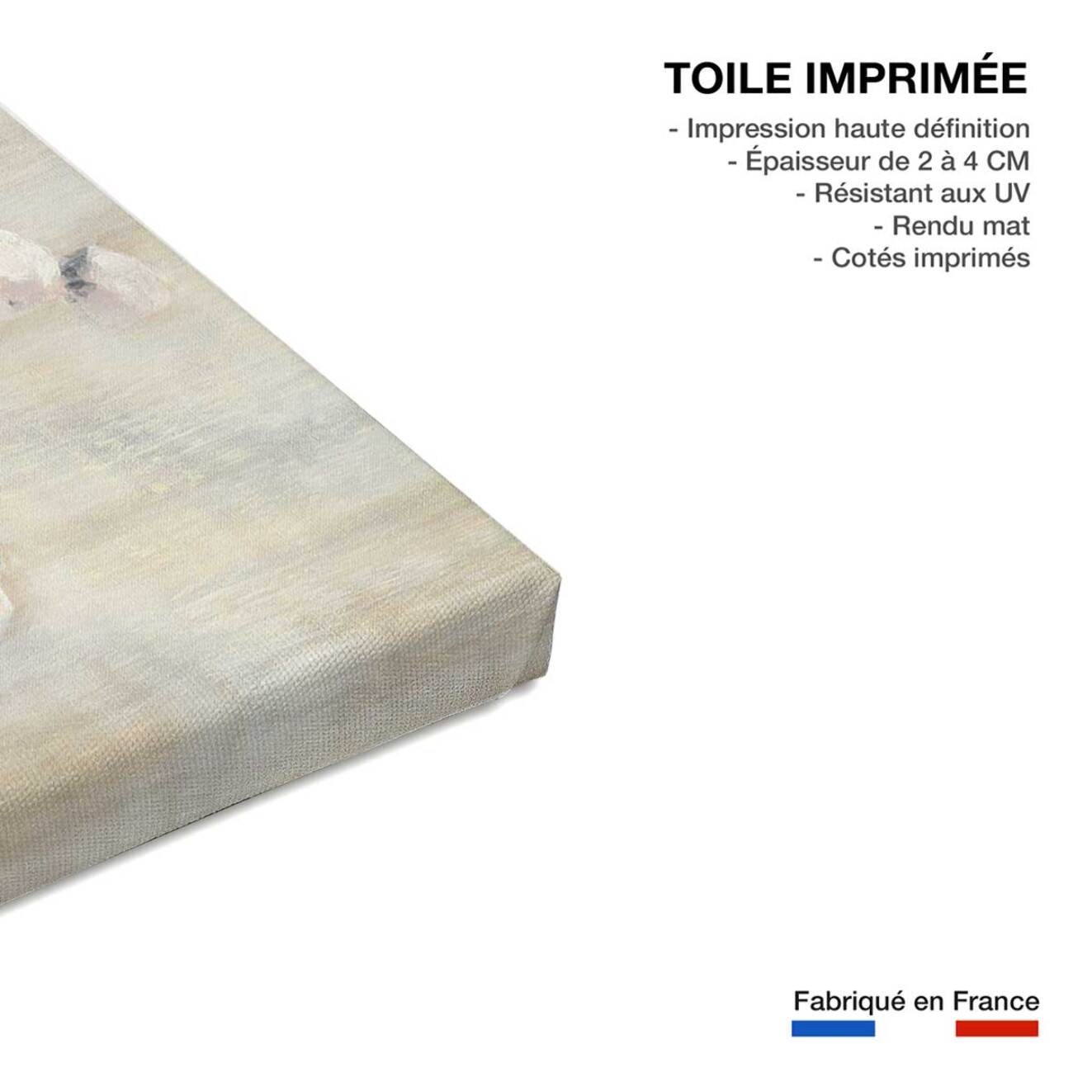 Tableau bouquet et fleurs de coton Toile imprimée