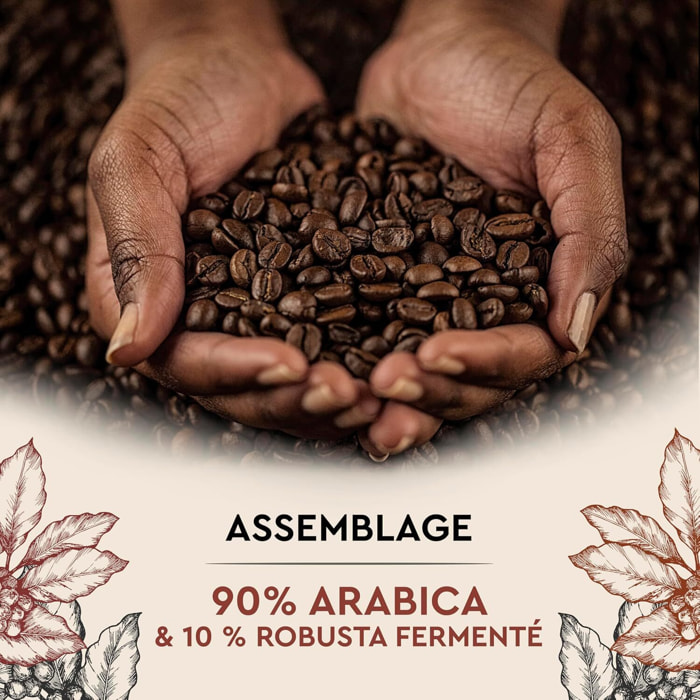 Café Cuvée de caractère x10 - Capsules compatibles Nespresso en aluminium