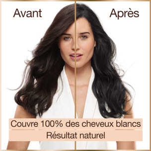 Garnier Good Coloration 2.0 Brun truffé