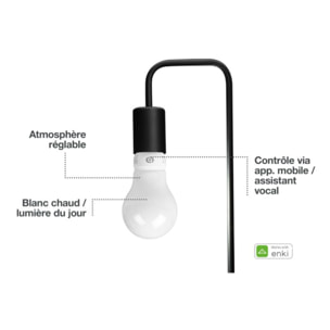 Ampoule LED connectée ESSENTIELB Nuances de Blanc Classique E27