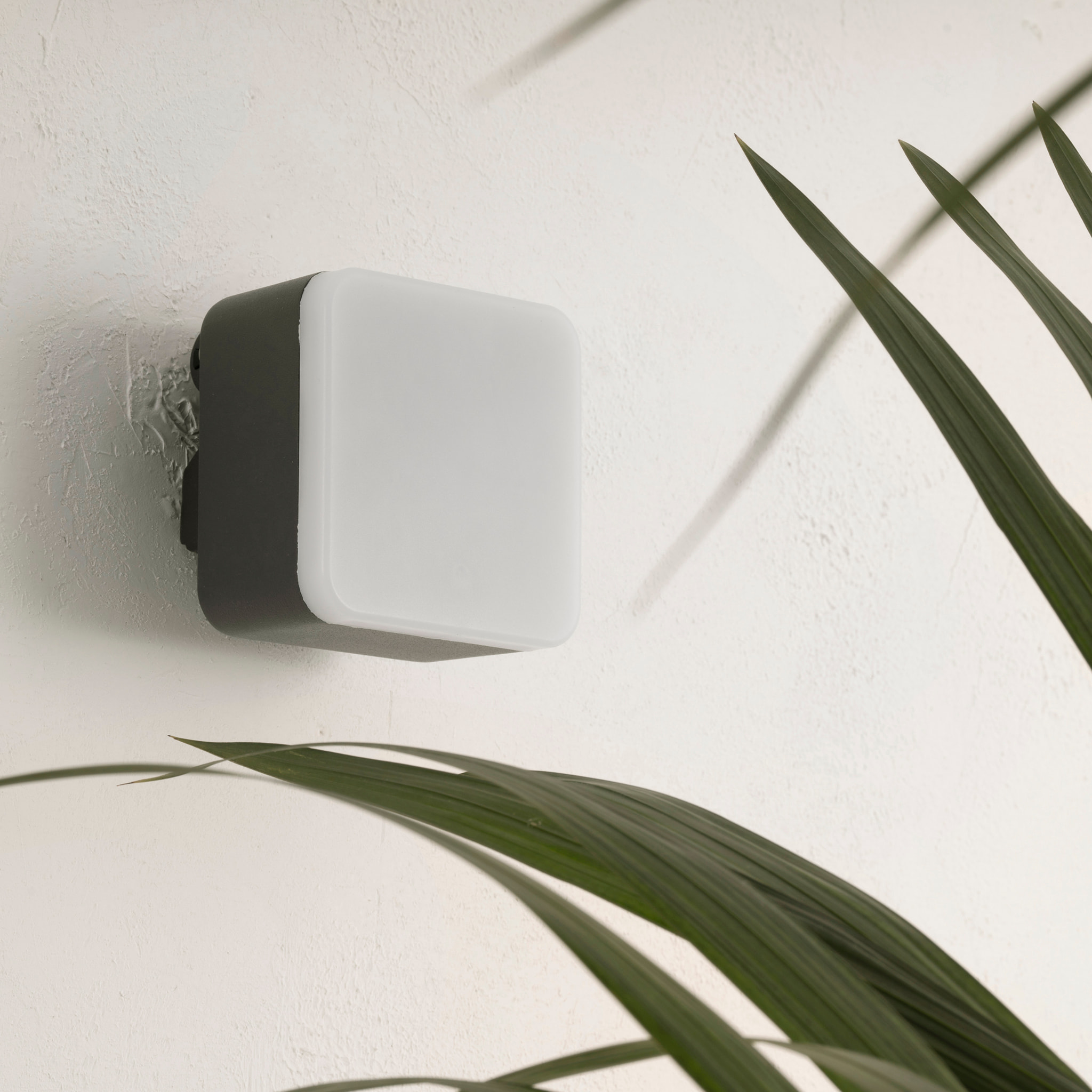 FORLIGHT Tilt - Aplique de Pared Exterior LED Orientable con Accesorio para Foco de Jardín con Pincho