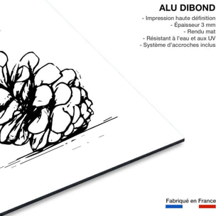 Tableau pomme de pins Tableau alu Dibond