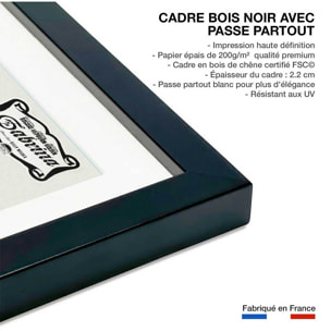 Affiche cinéma Audrey Hepburn Sabrina 1954 Affiche sous cadre noir