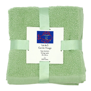Lot de 5 carrés visage 30x30cm - Vert