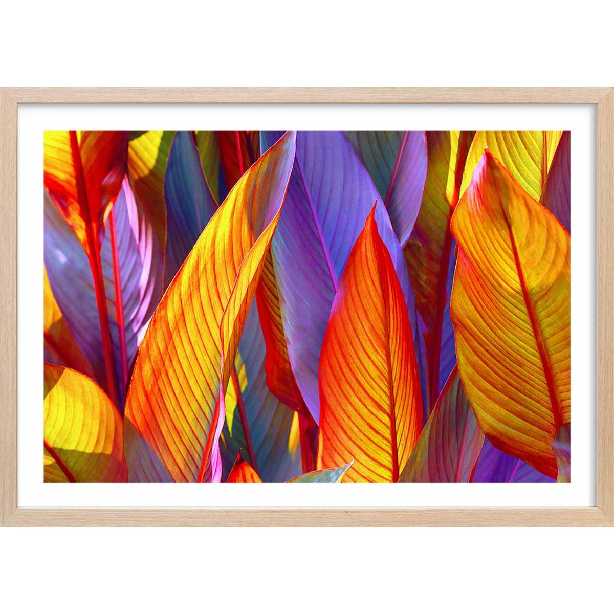 Affiche palm leaves yellow background Affiche + cadre en bois - Chêne