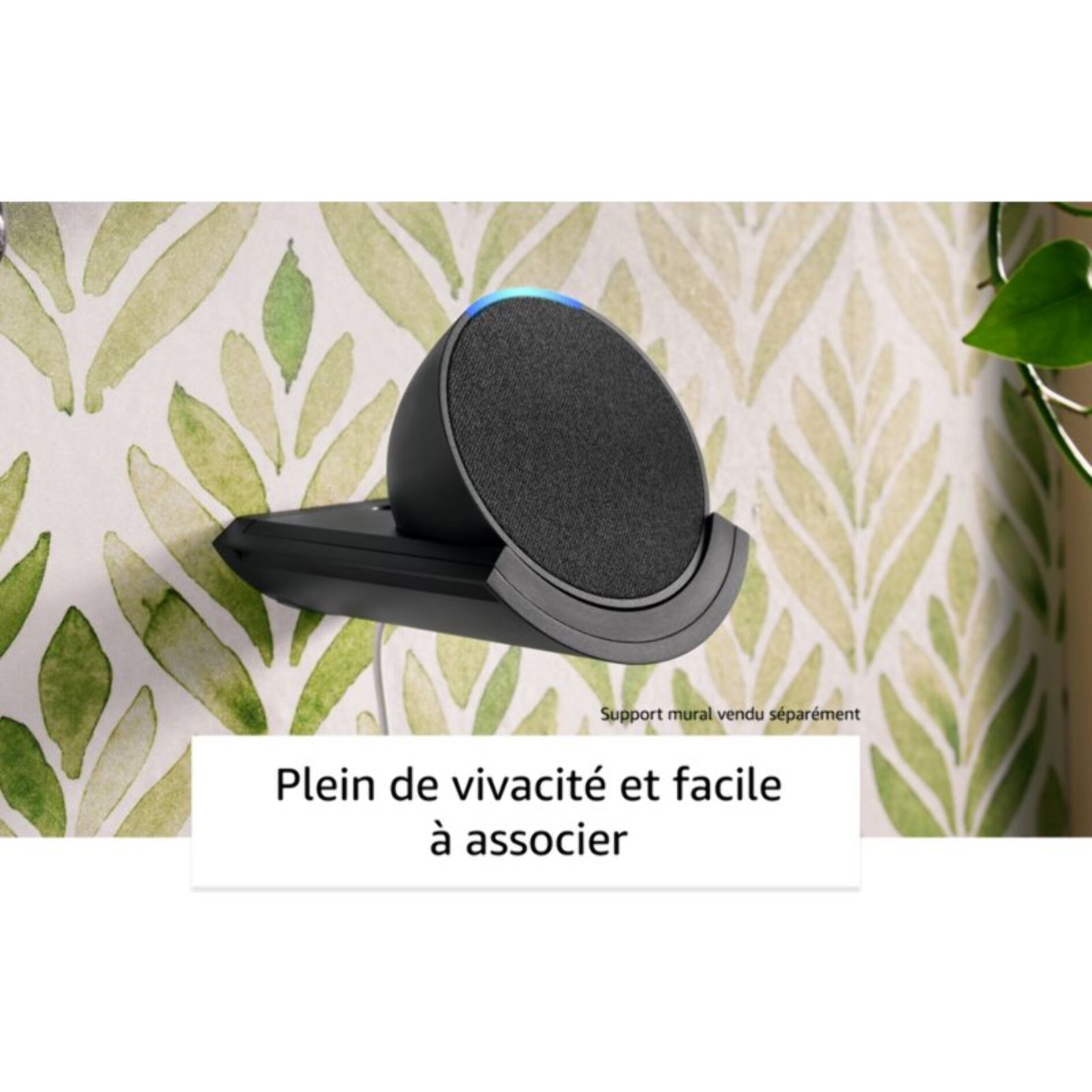 Assistant vocal AMAZON Echo Pop Lavande