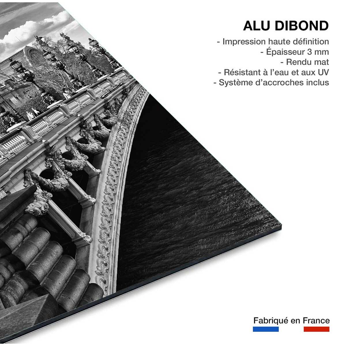 Tableau Paris Vue du pont Alexandre III Tableau alu Dibond