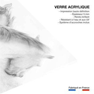 Tableau chevaux blancs Tableau plexiglas