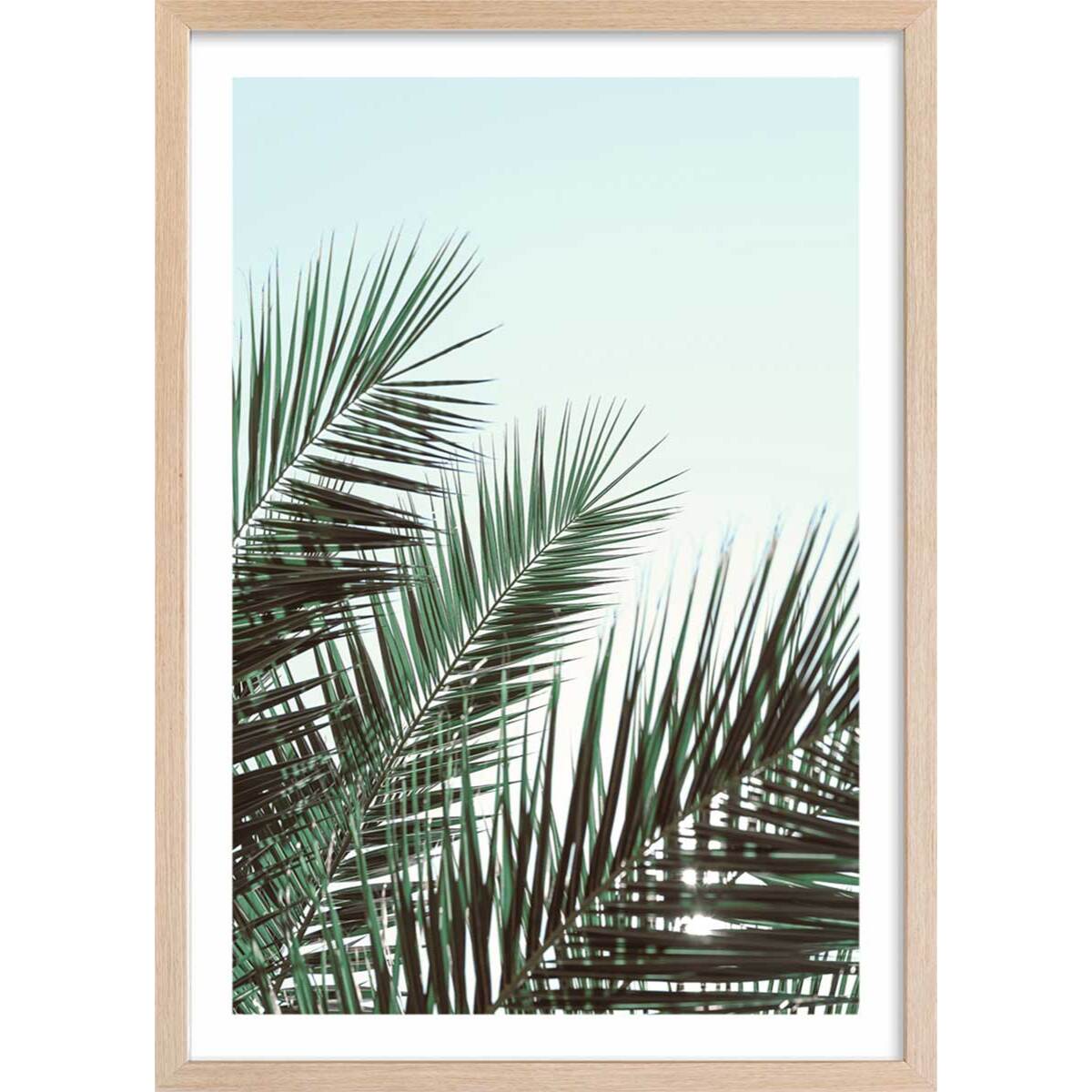 Poster palme verte Affiche + cadre en bois - Chêne