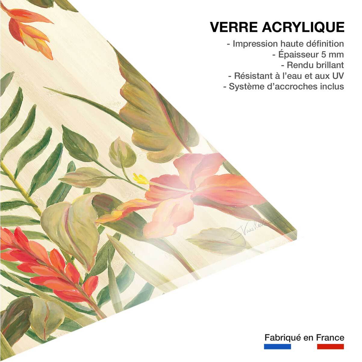 Tableau Oiseaux du paradis en aquarelle Tableau plexiglas