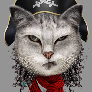Affiche enfant chat pirate  Affiche seule