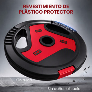 Juego de Discos de Pesas de 4 Piezas, Agujero Ø25 mm, Total 15 kg, 2x5kg, 2x2,5kg, de PP, Placas de Pesas con Agarres, para Mancuernas y Barras, para Casa, Gimnasio, Negro y Rojo