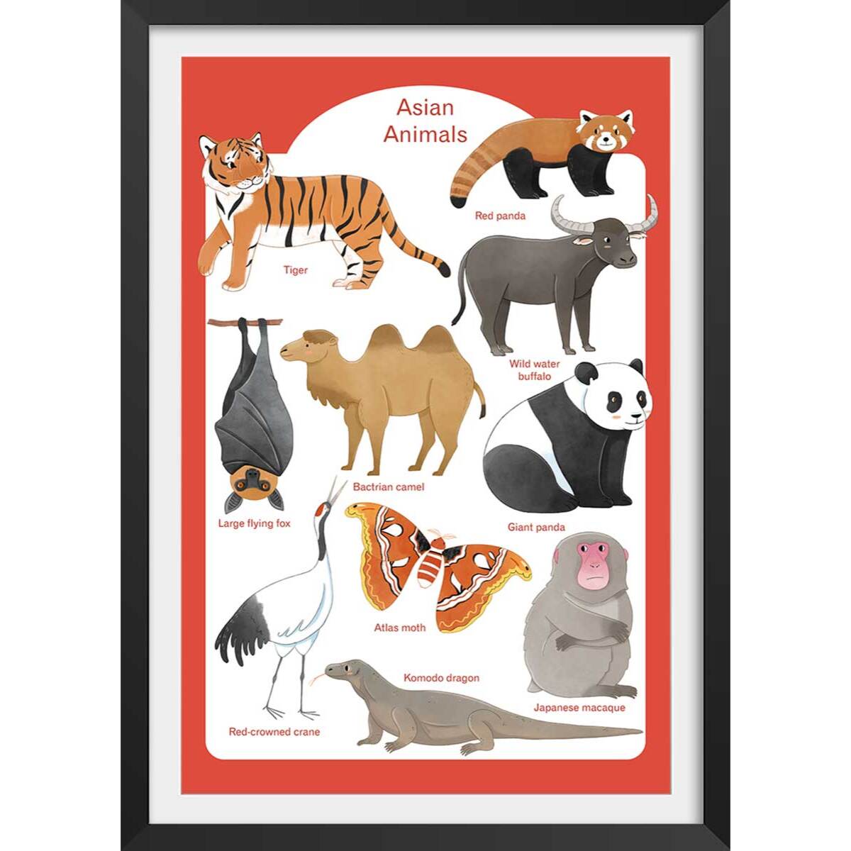 Affiche enfant animaux d' asie  Affiche + cadre en bois - Noir
