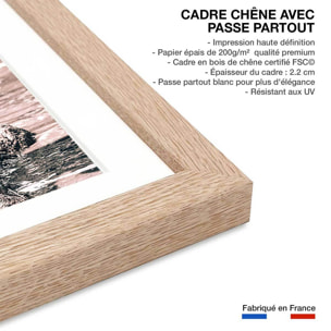 Affiche rhinoceros Affiche + cadre en bois - Chêne