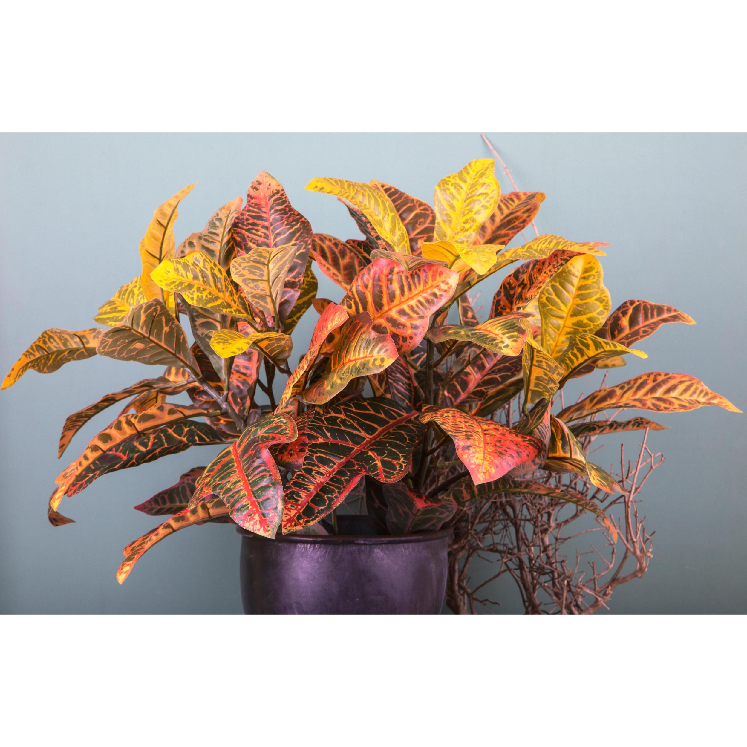 Croton Pianta. Altezza 60 Cm - Pezzi 1 - 36X60X36cm - Colore: Arancio - Bianchi Dino - Piante Artificiali