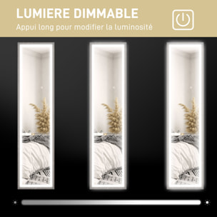Grand miroir LED pleine longueur 40 x 160 cm autoportant ou à fixer - 3 couleurs luminosité réglable - effet bois gris