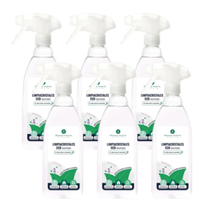 Pack 6xLimpiacristales Y Multiusos Eco Planeta Huerto 750ml