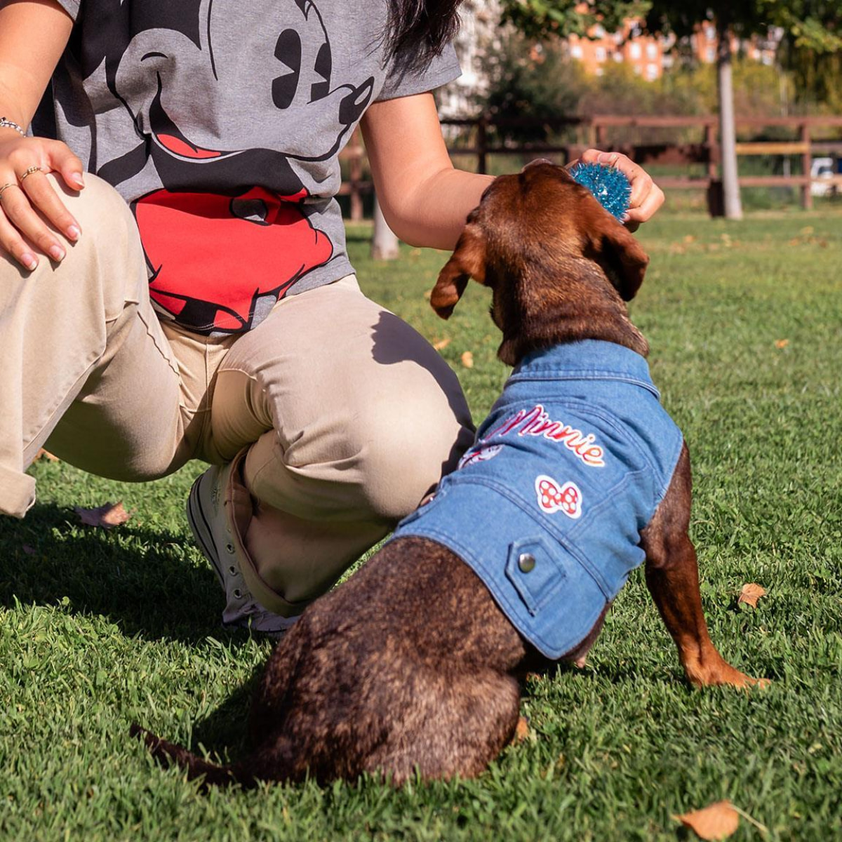 Disney Minnie Mouse Giubbotto jeans per cane XXS For Fun Pets Cerdà