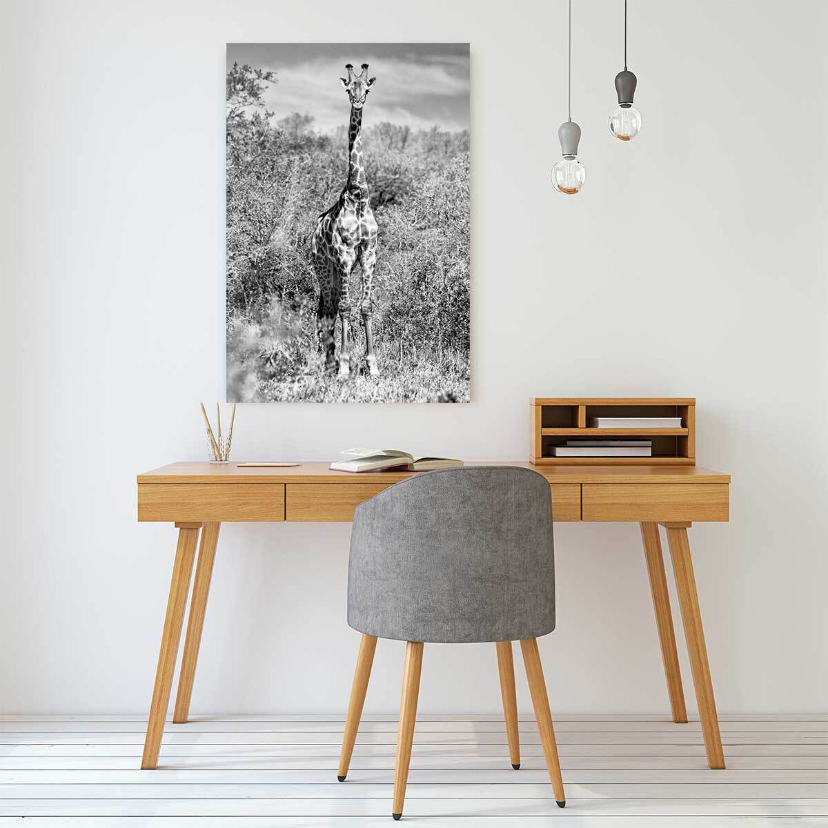 Tableau animaux girafe en instantanée  Tableau alu Dibond