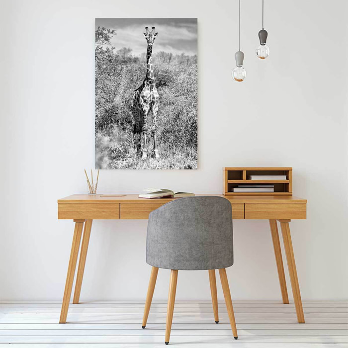 Tableau animaux girafe en instantanée  Tableau alu Dibond