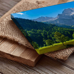 Tableau panoramique alpages lumineux et sommets alpins ciel bleu Toile imprimée