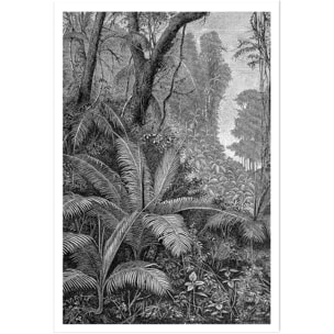 Affiche paysage jungle indienne Affiche seule