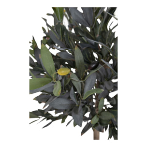 Ulivo artificiale verde H 120 cm