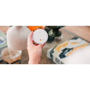 Amy Sun Protect io - Améliore le confort thermique de l'habitat