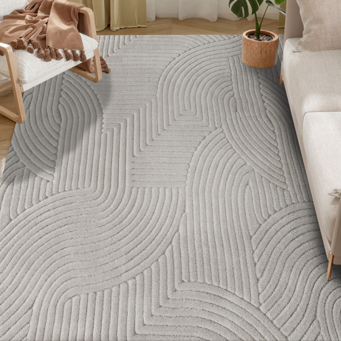 Alfombra Salón 230x160 cm Alfombra Pelo Corto Estilo Moderno Base Antideslizante Tejida a Máquina Tapete para Sala de Estar Dormitorio Comedor Gris