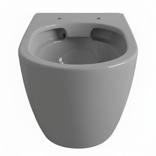 Coppia Sanitari Filomuro Parete Vaso WC Rimless Senza Brida Tornado Flush E Bidet Moderno In Ceramica Copriwater Chiusura Soft Close Grigio Opaco