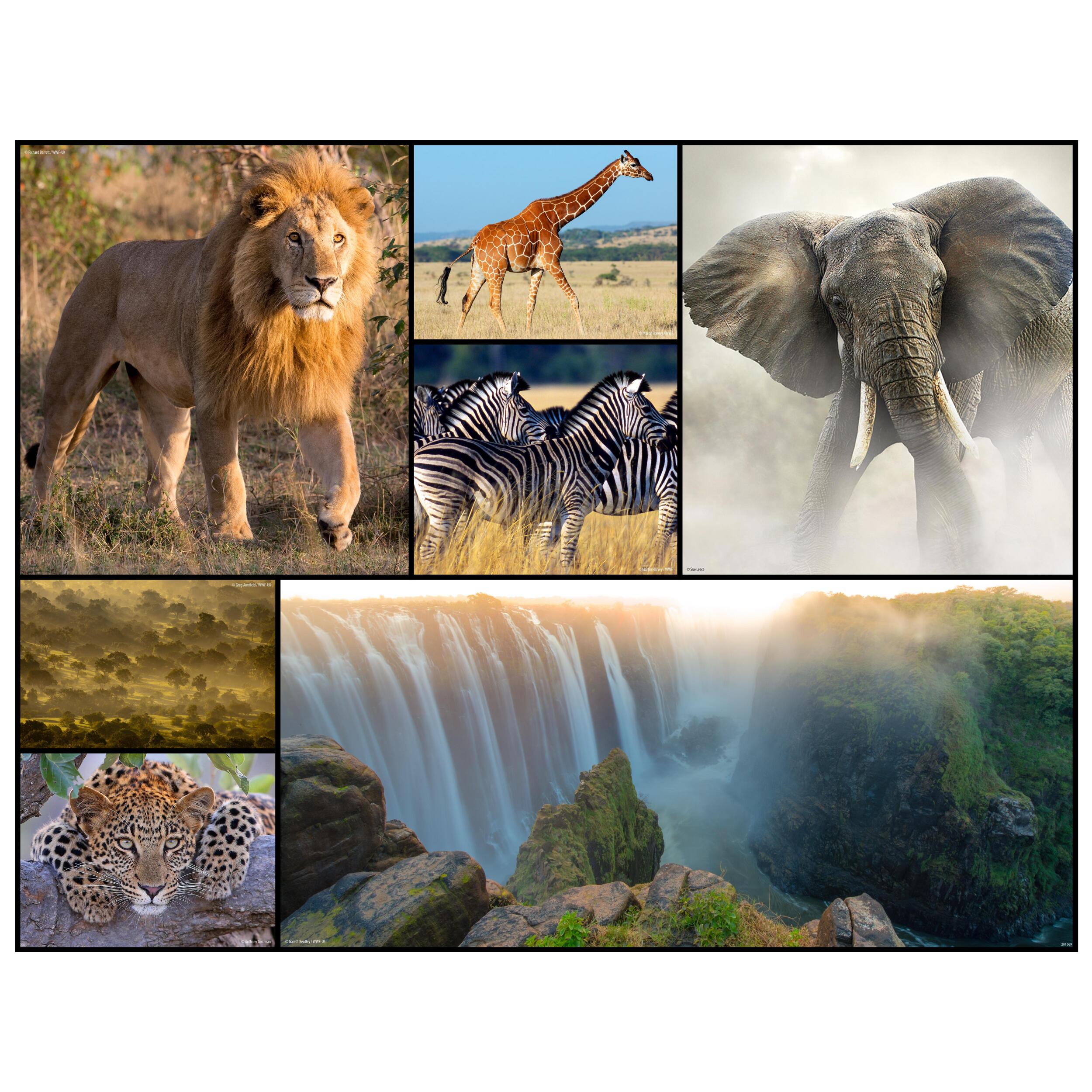 WWF ROMPECABEZAS - ÁFRICA 48 PCS