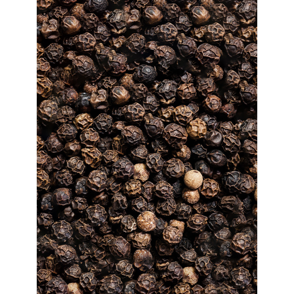 Pack Poivres et Sel Classique Multipack Mix Standard